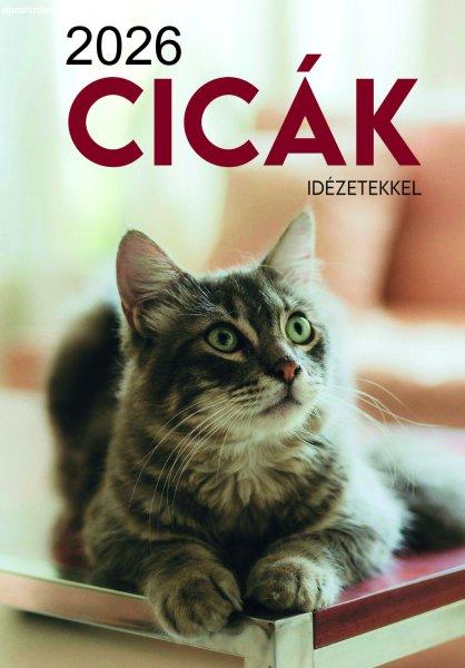 2026 Naptár: Cicák