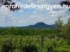 Kisaptiban rkpanorms zrtkert elad