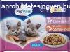 PreVital Cat alutasakos 4*100g szszos Junior