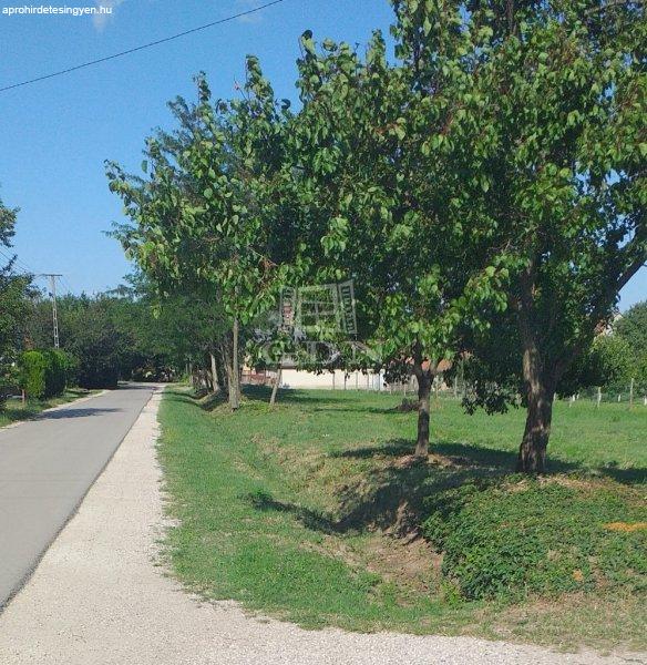 Eladó telek Pázmánd, 	Megosztható saroktelek