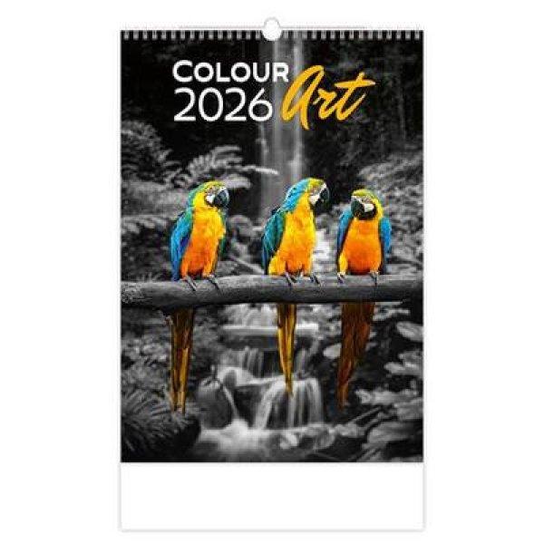 Naptár, fali, DAYLINER "Colour Art"