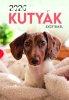 2026 Naptr: Kutyk