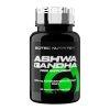 SciTec Ashwagandha 60 caps