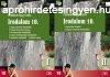 Irodalom 10. I-II. ktet - Pethn Nagy Csilla