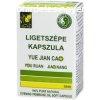 Dr.chen ligetszpe kapszula 50 db