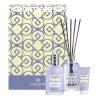 Collistar Ajndkkszlet Fig and Glicine Benessere