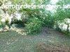 SIFOK SSTN 192 M2 ptsi telek elad 300 mterre a Balat