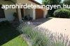 Igz krnyezetben modern lhet OTTHON 2,1 HA terlettel! -