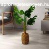 Mnvny dekorci - filodendron - 1 m