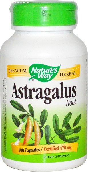 NATURES WAY ASTRAGALUS KAPSZULA 100 DB