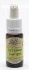 Bach virgeszencia vadalma 10 ml