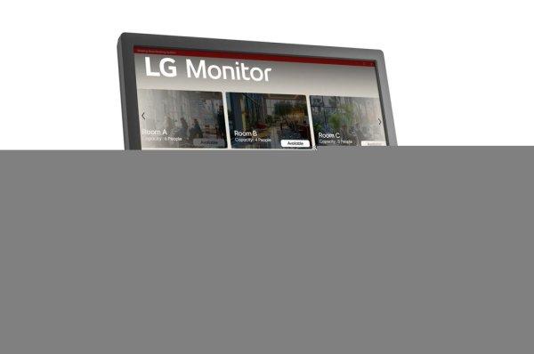 LG 17" 17BR30T-B LED