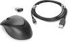 HP Wireless Premium mouse Black