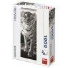 Dino Puzzle 1000 db panorma - tirgis
