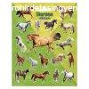 Totum: Matrica nagy - Lovak