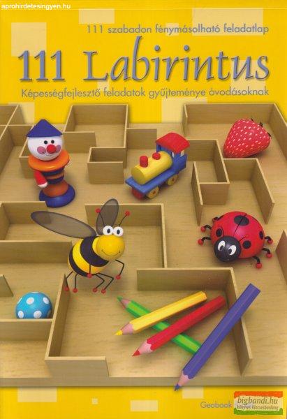 111 ?Labirintus - Képességfejlesztő feladatok óvodásoknak