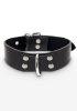 Taboom Elegant D-Ring Collar
