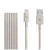 Apple Beats USB-A to USB-C Woven Cable (1.5 m) - Surge Stone