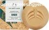 The Body Shop Szilrd sampon szraz fejbrre Ginger (Shampoo