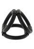 Seven Creations - Tri Ring