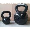 SPARTAN Vas Fles Sly 24 kg (kettlebell)