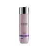 System Professional Sampon festett hajra Color Save (Shampoo