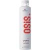 Schwarzkopf Professional Rendkvl ers hajlakk Session 100 