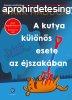 A KUTYA KLNS ESETE AZ JSZAKBAN