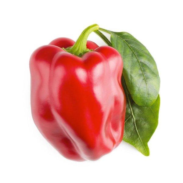 Smart Garden piros paprika, édes - PC
