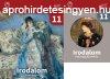 Irodalom 11. - Tanknyv + Szveggyjtemny - Sndor Csilla (