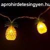 LED fnyfzr - anansz - 1,65 m - 10 LED - melegfehr - 2 x