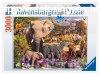 Puzzle 3000 db - Afrikai llatvilg