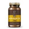 Myrobalan KhogA.9 gyomorgs, reflux elleni gygynvny-komp