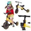 TRIKE FIX Mini tricikli (srga)