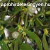 Herbatrend Fehr Fagyngy Filteres Tea 20 filter