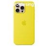 Apple iPhone 16 Pro Max Silicone Case with MagSafe Star Frui