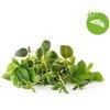 Smart Garden Olasz fszer mix 3-pack - PC