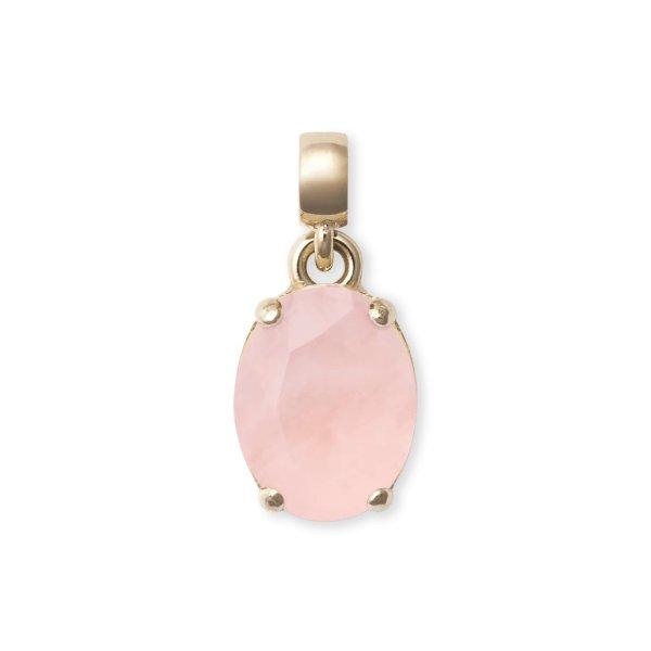 Daniel Wellington Bájos aranyozott medál rózsakvarccal Charms DW00401459