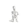 Evolution Group - Pavona Ezst medl Hoki jtkos 64016