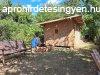 Htvgi kert elad Sopronban csendes helyen
