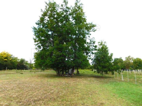 Siófok-Sóstón építési telek 500 méterre a Balatontól eladó