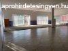 Kiad 330m2-es Csaldi hz, Szada