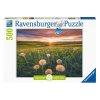Puzzle 500 db - Pitypang a naplementben
