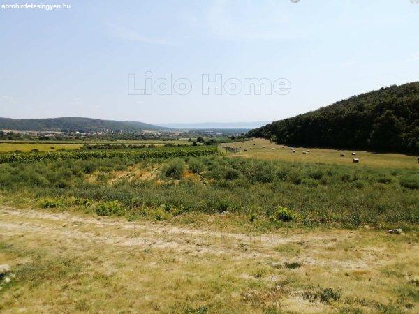 Dörgicsén balatoni panorámás mezőgazdasági terület eladó. - Dörgicse