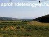 Drgicsn balatoni panorms mezgazdasgi terlet elad. - 