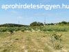 Drgicsn balatoni panorms mezgazdasgi terlet elad. - 
