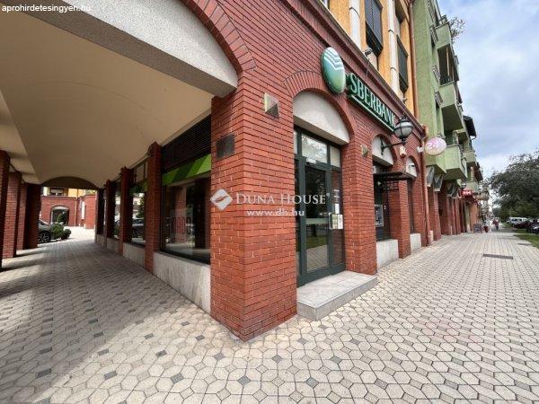 Kiadó irodaépület, Zalaegerszeg