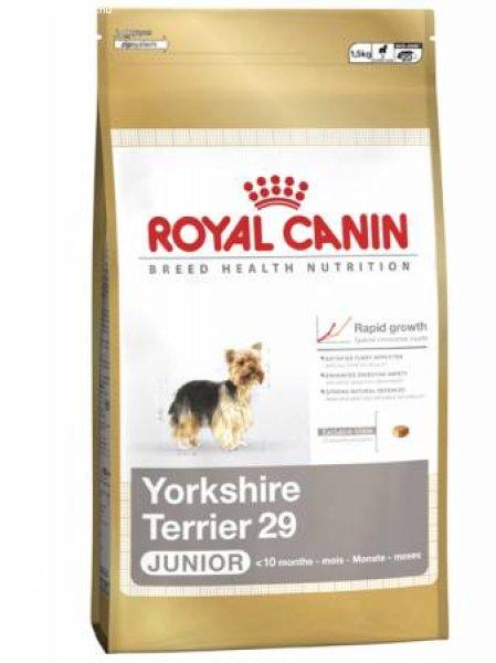 Royal Canin Mini Yorki Junior 0,5 kg