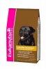 Eukanuba Adult Labrador Retriver CKN 2,5 kg