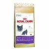 Royal Canin FBN British Shorthair 34 400 g